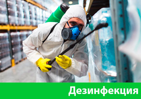 Дезинфекция в городе Егорьевск