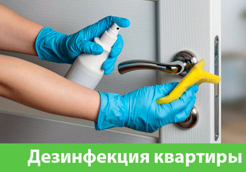 Дезинфекция квартиры в городе Егорьевск