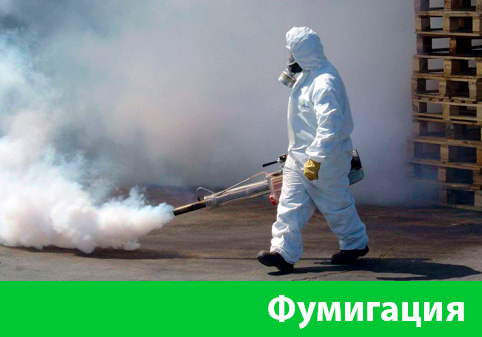 Фумигация в городе Егорьевск