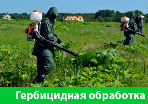 Гербицидная обработка в городе Егорьевск