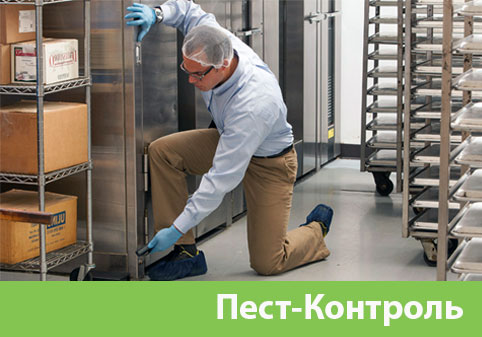 Пэст-Контроль в городе Егорьевск