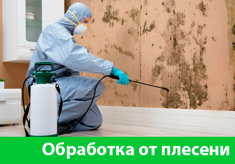 Обработка от плесени в городе Егорьевск