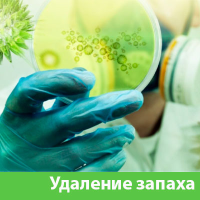 Удаление запахов в Егорьевске