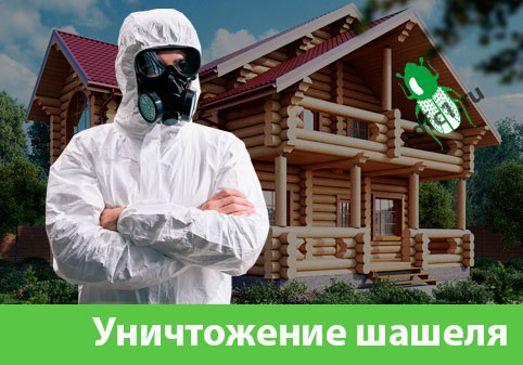 Уничтожение шашеля и личинок в Егорьевске