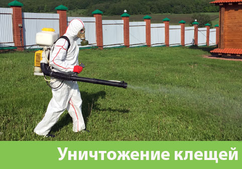 Уничтожение клещей в городе Егорьевск