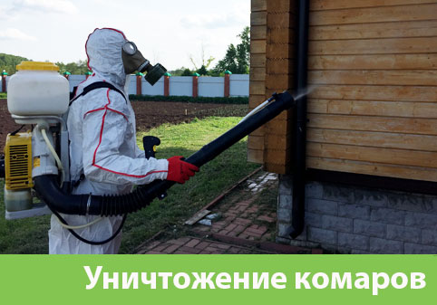 Уничтожение комаров в городе Егорьевск